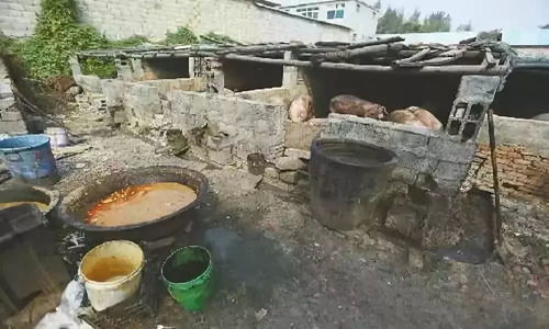 泔水是什么味道，泔水是什么意思啊网络用语