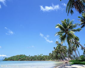 海南三亚旅游攻略三亚旅游攻略必看景点