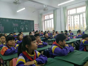 重庆朝阳小学排名，黄岛朝阳小学排名