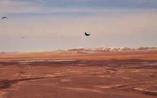 天路歌词是什么?