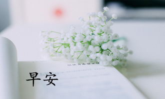 人生三千事,淡然一笑间是什么意思