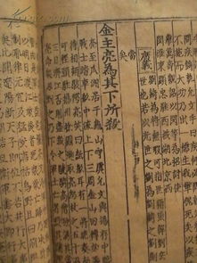 续资治通鉴毕沅，续资治通鉴宋纪