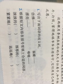 仿佛的近义词，仿佛的近义词是什么 标准答案