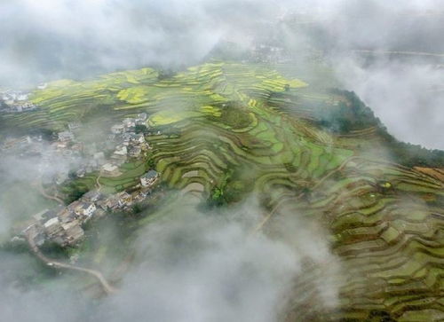 安土重迁，安土重迁的意思