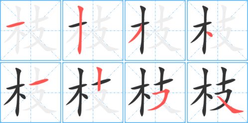枝的笔顺笔画