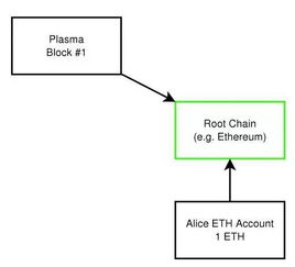 plasma是什么意思，plasma cell