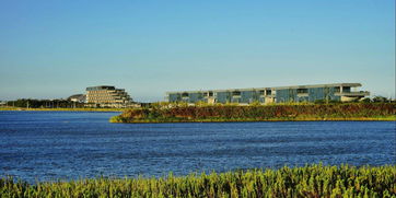 上海未来20天天气是什么样子