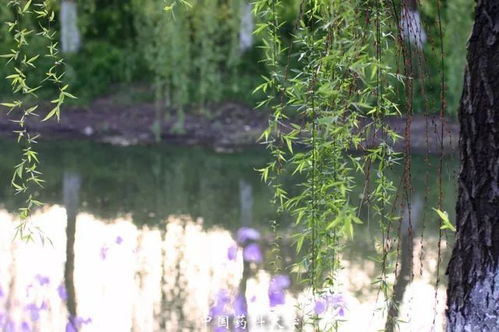 迸发的意思迸发的意思是什么