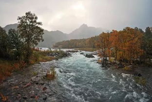 宿石邑山中的诗意