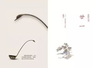 不胜杯杓的胜是什么意思，不胜杯杓的胜读音