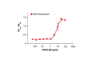 血小板英文缩写怎么表示