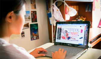 上网购物英语翻译，上网购物是不是公共生活