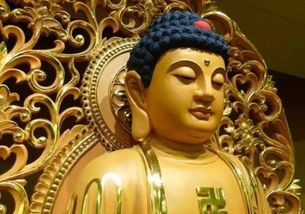 肺部气泡影是什么意思，成为泡影是什么意思