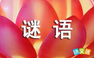 爬竹竿打一成语 爬竹竿猜成语
