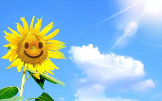 成长需要担当400字作文，成长需要担当满分作文