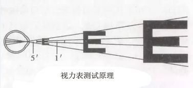 视力表5.0和1.0对照表，视力表自测