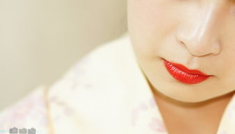 朱唇是什么意思