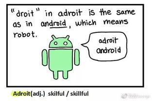 learn是什么意思中文