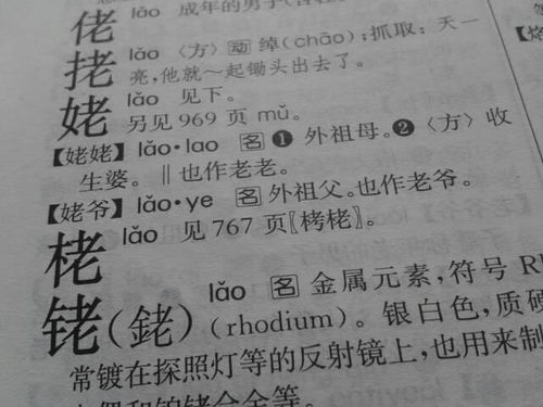 姥组词有哪些词语