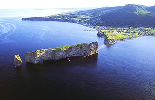 gaspe音标，gaspedal