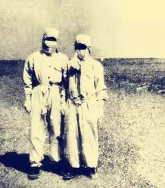 邓稼先观后感作文800字