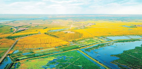 沃野布吉岛，沃野的拼音