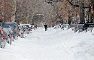 暴风雪英语怎么读，暴风雪英语怎么写