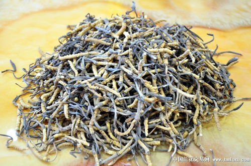 断草和整草的营养价值会不会不一样，断草的价格