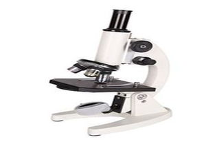 光学显微镜能看什么细胞结构?能看到中心体吗?