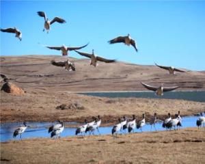 山包的意思是什么，山包海容