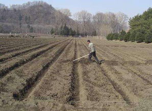 英亩和亩的区别，英亩和亩怎么换算