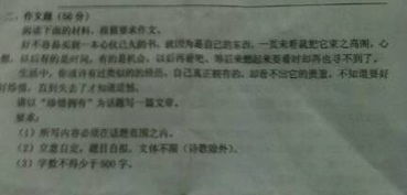 高中珍惜拥有议论文800字【三篇】