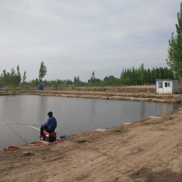 建昌天气预报15天查询，建昌天气预报15天葫芦岛