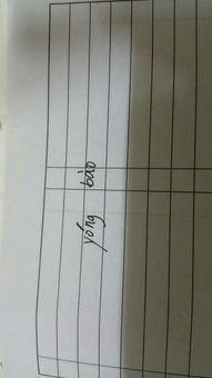 抱的拼音组词，抱歉的拼音