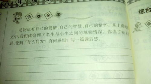 水浒传读后感250字左右，艾青诗选读后感250字左右