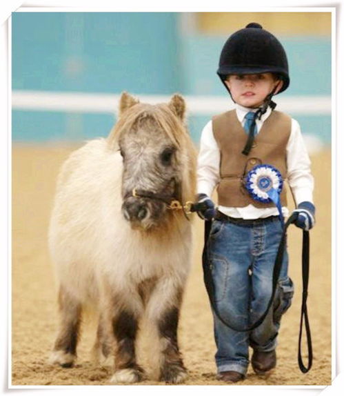 破伤风的英语翻译 破伤风用英语怎么说