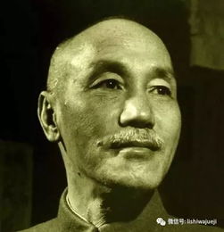 遵照的意思，遵照和按照的区别