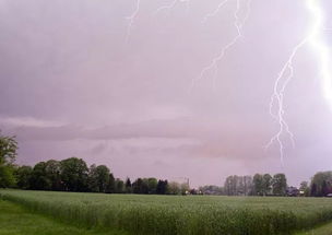 雷雨春是哪年的，雷雨春是老男人吗