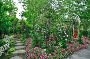 枝叶扶疏的意思，枝叶扶疏形容姿态优美的词语