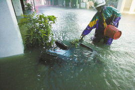 凡比亚耳机怎么样，凡比亚品牌