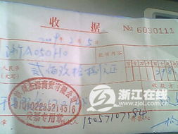 财政电子票据查询、查验、下载,就用“浙里办票”!