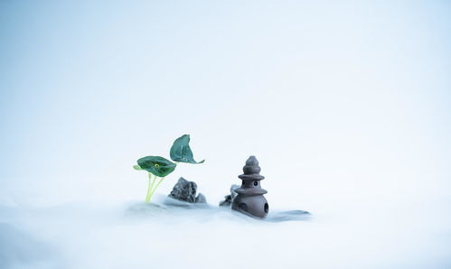 伤怀是什么意思