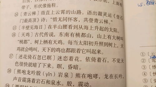 导的组词，导的组词和部首