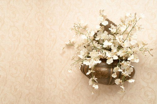 高雅的意思是什么?