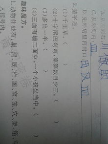 字谜语大全及答案简单