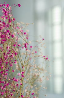 春风十里出自杜牧的哪首诗?