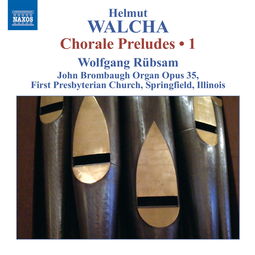 rubs是什么意思，rubsico酶