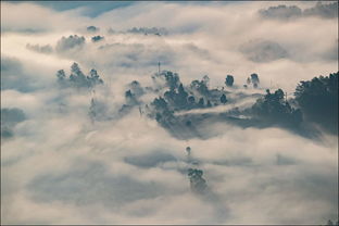 林志炫《醉梦前尘》歌词