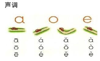 曲线优美的拼音，优美的拼音怎么写的拼