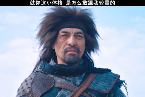 败将[bài jiàng]什么意思?近义词和反义词是什么?英文翻译是什么